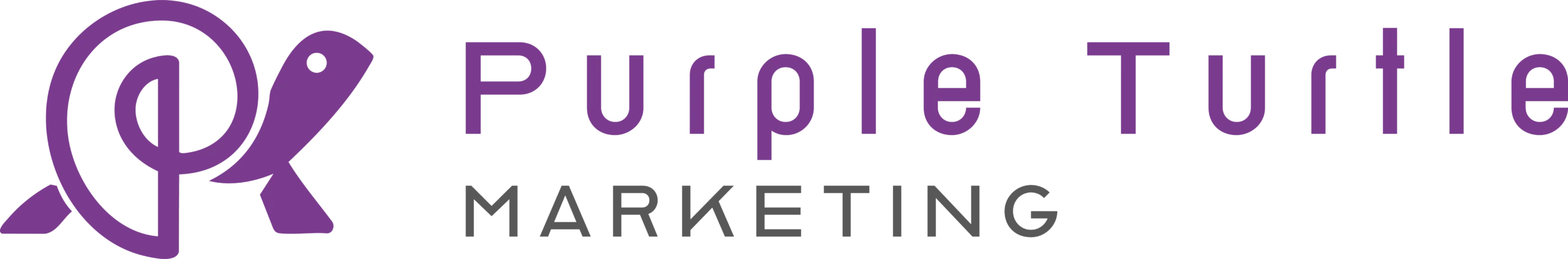 Purple Turtle Marketing Logo@4x
